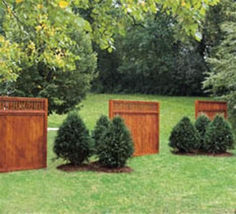 Amazing Ideas To Make Fence With Evergreen Plants Landscaping