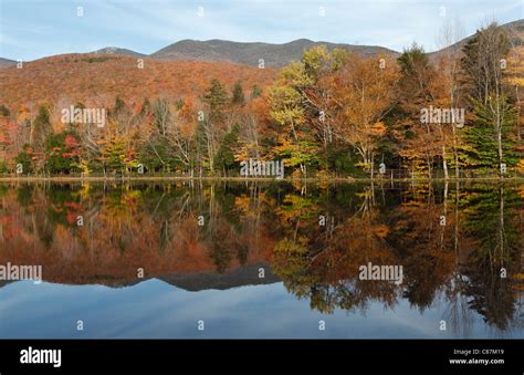 Profile Lake Nh Foliage