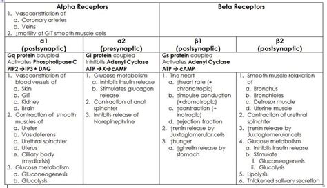 Sympathetic Nervous System Receptors Alpha And Beta