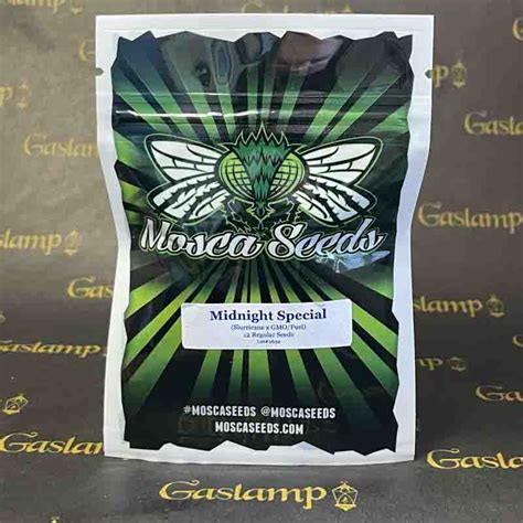 Mosca Seeds - MIDNIGHT SPECIAL - 12 Regular Seeds - Gaslamp Seeds