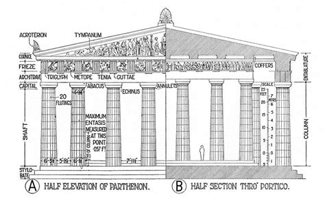 Architectural Elements Of The Parthenon Illustration Ancient