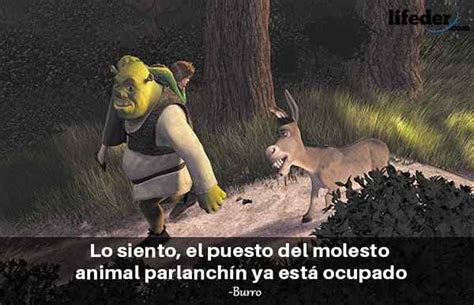 As Melhores Frases Shrek Learnaboutworld