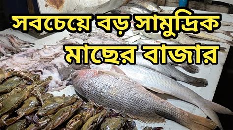 কুয়াকাটা সামুদ্রিক বড় মাছের বাজার Sea Fish Big Market In Kuakata