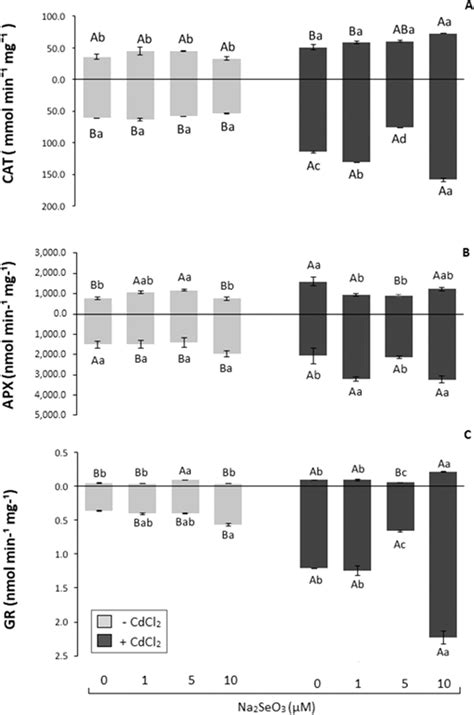 Antioxidant Total Enzyme Activity A CAT Specific Activity