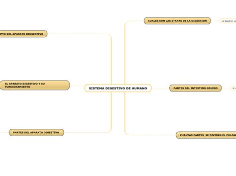 Sistema Digestivo De Humano Mind Map