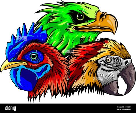 Parrot Eagle And Rooster Head Vector Illustration Stock Vector Image