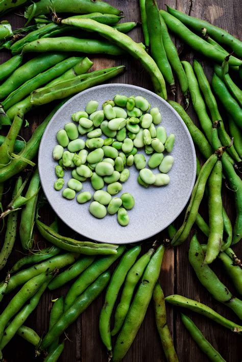 Lemony Fava Beans With Garlic And Cilantro — Omayah Cooks Syrian Recipes Photography By