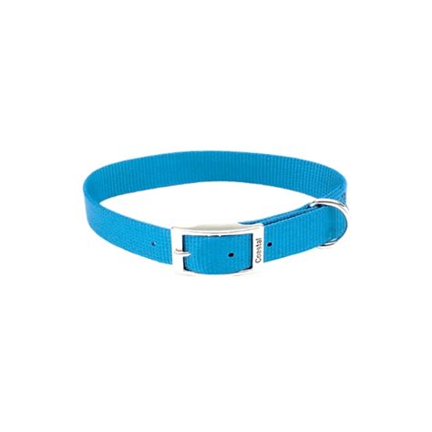 Coastal Pet Collar Ajustable Para Perro Color Celeste Kemik Guatemala