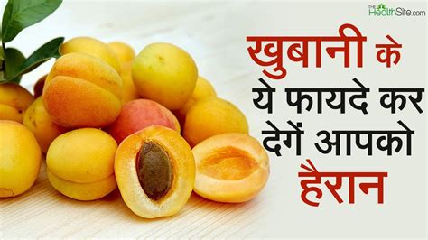 Benefits Of Apricot Apricot In Summers Health And Nutrition