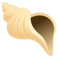 🐚 Seashell emoji - Meaning, Copy and Paste