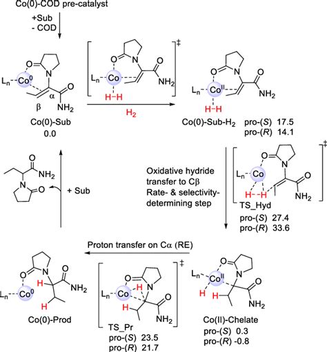 Scheme 3 Redox Mechanism A For R R Ph BPE CoCatalyzed