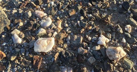 quartzite  quartzsite