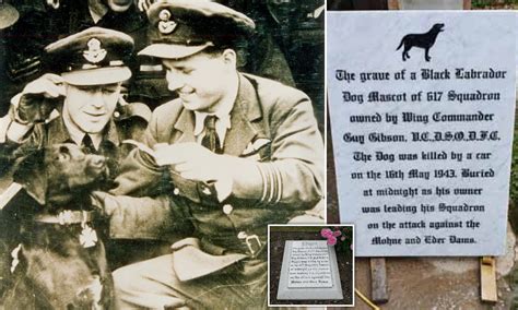 Headstone replaced to remove ‘racist name’ of Dambusters dog – Unity ...