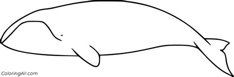 Bowhead Whale Coloring Pages