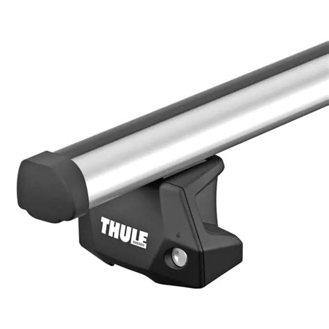 Barre Portatutto Alluminio Adatto Per Vw T Multivan Thule Probar