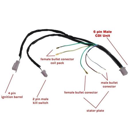 Pit Bike Cdi Wiring