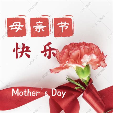 Happy Mothers Day Carnation Red Realistic Public Number Picture