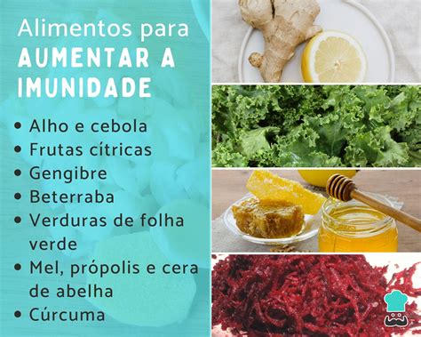 O Que Fazer Para Aumentar A Imunidade - 10 alimentos e 10 receitas simples para aumentar a imunidade