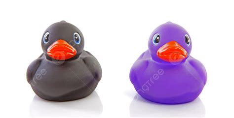 Two Rubber Ducks Isolated On White Background Bath Play Swim Photo And ...