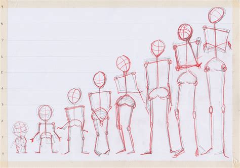 rough practice of body proportion (self practice) on Behance