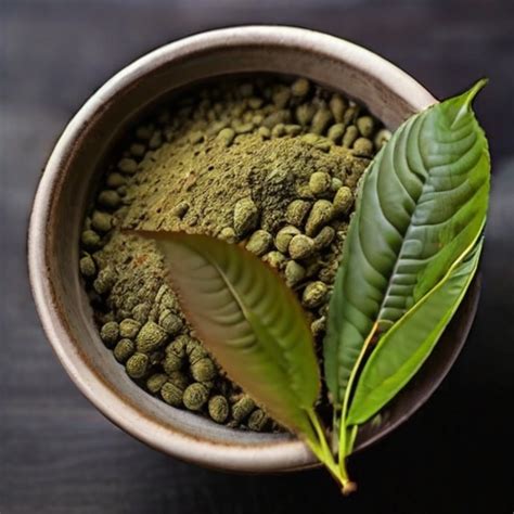 K čemu je kratom Přehled jeho různých aplikací a přínosů