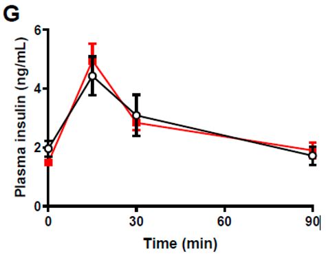 Biomolecules Free Full Text Paternal High Protein Diet Programs