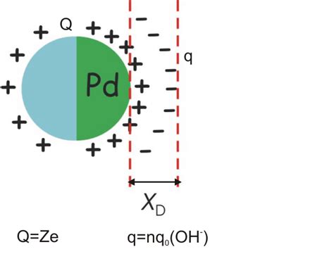 8 Inhomogeneous Distribution Of Charges On The Surface Of Capped