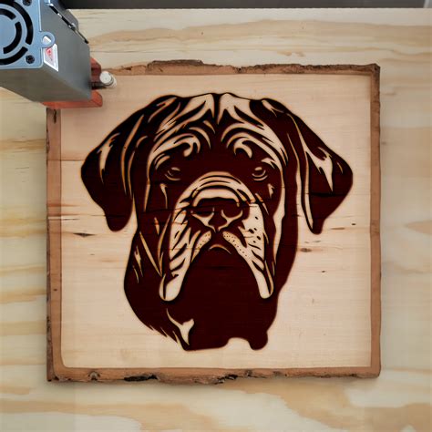 Wrinkled Dog – Creative Meadow