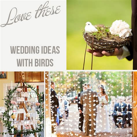 Love Bird Wedding Theme Ideas - UK Wedding Styling & Decor Blog - The ...