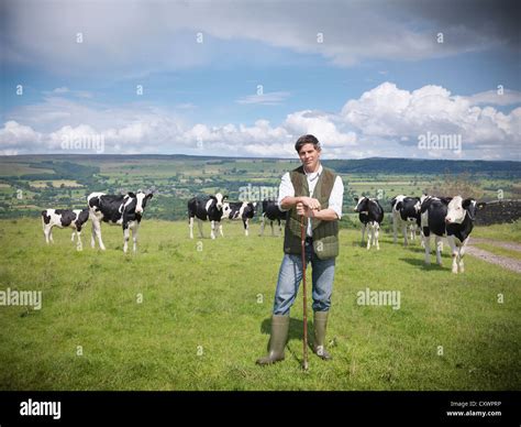 Rural Cattle In The Field Hi Res Stock Photography And Images Alamy