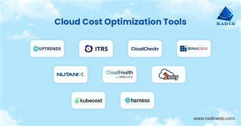 Cloud Cost Optimization Techniques