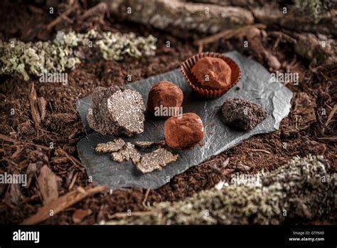 Trueffel Pralinen Fotos Und Bildmaterial In Hoher Aufl Sung Alamy