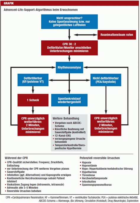 Kardiopulmonale Reanimation Hauptsache Heftige Herzmassage