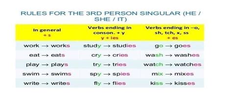 lee el círculo y escribe en tu cuaderno el verbo correcto en 3 personal