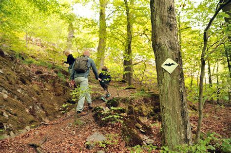 Spannendes Abenteuer Wittgensteiner Schieferpfad Wanderung