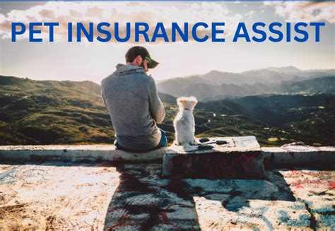 Pet Assure Plan Explained Pet Insurance Assist