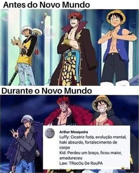 Pin By W B Mudinha On Salvamentos R Pidos In One Piece Meme