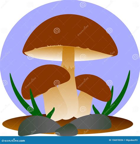 Three Mushrooms Vector Eps 10 Stock Vector Illustration Of Icon