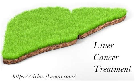 Understanding Liver Cancer: Symptoms and Treatment Options – Liver Specialist Doctor in Kerala