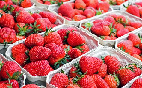 Strawberries Photos, Download The BEST Free Strawberries Stock Photos