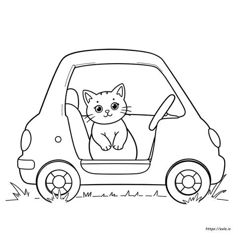 erek erek kucing mati ditabrak mobil 3