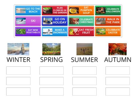 SEASONS AND ACTIVITIES - Group sort