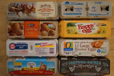 With So Many Claims, What Eggs Should I Buy at the Grocery Store