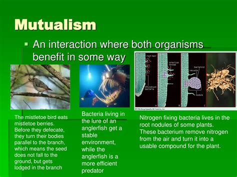 PPT - Biotic Interactions PowerPoint Presentation, free download - ID ...