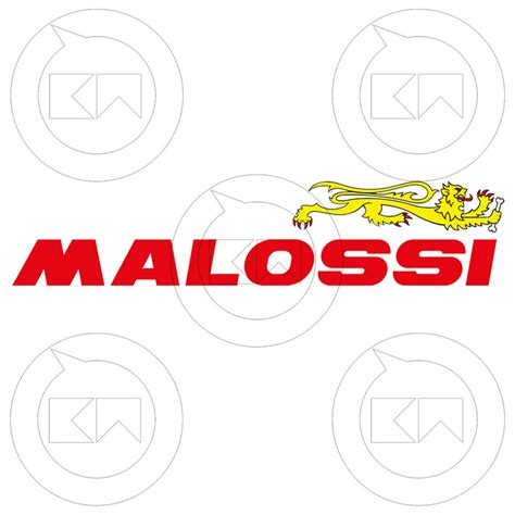 Malossi Demi Poulie Conduite Mobile Mhr Yamaha Tmax C