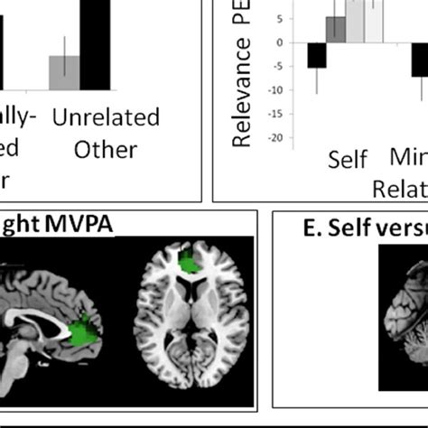 A MPFC ROI Modulation In Relation To Prime Evaluations Showed Main