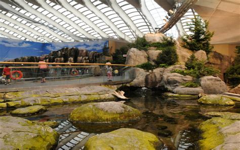 What Is a Biodome? | Wonderopolis