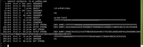 Jakarta Ee How To Generate PKCS 1 RSA Keys In PEM Format