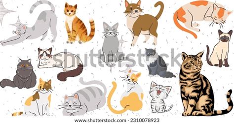 Background Kucing Animasicats Animalscute Catbackground Stock ...