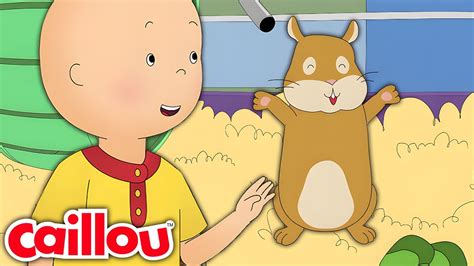 Caillou S Class Pet Caillou S New Adventures Season 3 Episode 21